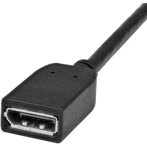 StarTech 6ft Displayport Extension Cable M/f (DPEXT6L)
