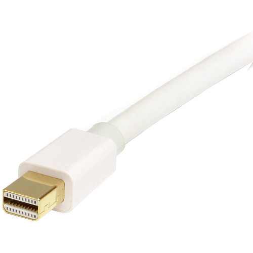 StarTech 1m 3ft Mini Dp To Displayport 1.2 Cable (MDP2DPMM1MW)