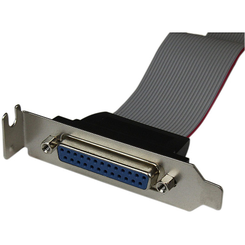 StarTech Lp 16in Parallel Port Header Cable (PLATE25F16LP)