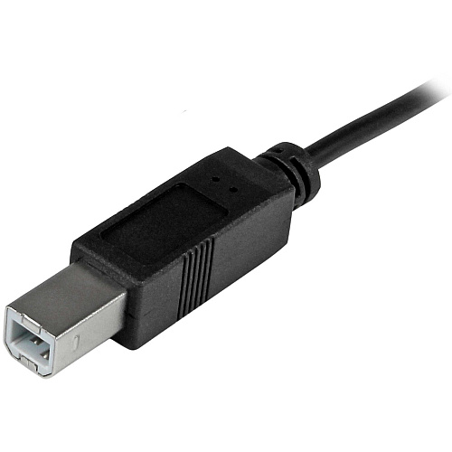 StarTech 1m 3ft Usb-c To Usb-b Cable - Usb 2.0 (USB2CB1M)