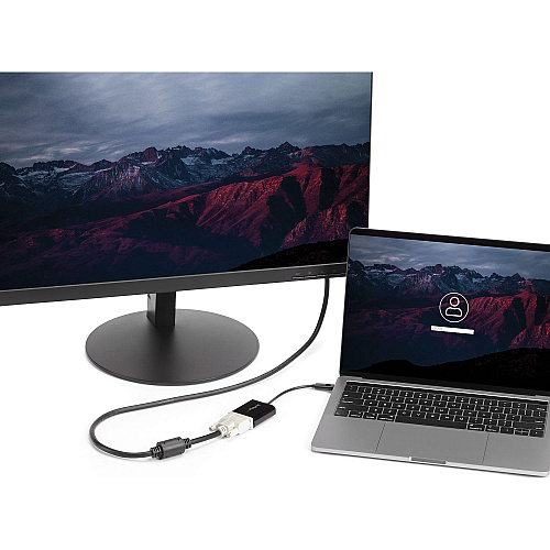 StarTech Usb-c To Dvi Adapter (CDP2DVI)