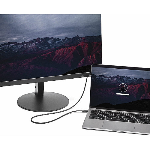 StarTech 3ft Usb C To Displayport 1.2 Cable 4k60 (CDP2DPMM1MB)