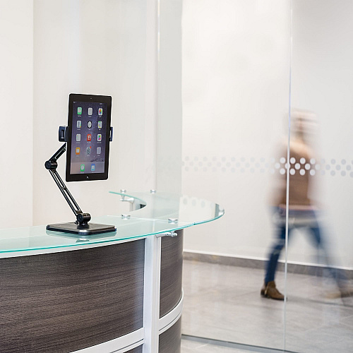 StarTech Tablet Stand - Adjustable - Universal (ARMTBLTDT)