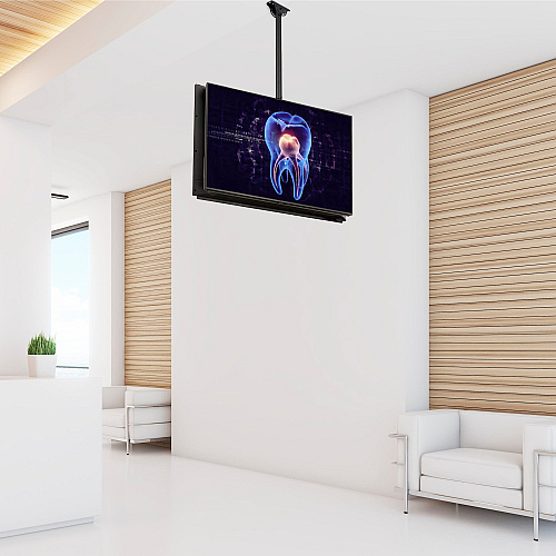 StarTech Back-to-back Dual Tv Ceiling Mount Vesa (FPCEILBTB)