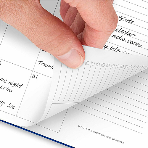 At-A-Glance Harmony Planner (109980520)