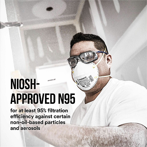 3M Safety Mask (8210CT)