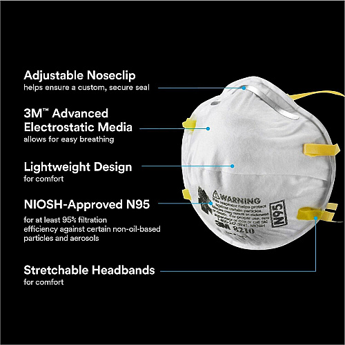 3M Safety Mask (8210CT)