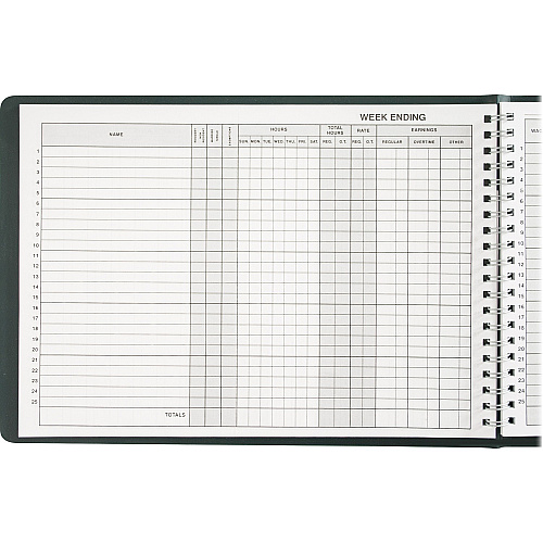 Dome Wirebound Payroll Book Wire Bound - 6 1/2" x 10" Sheet Size - 6 Columns per Sheet - White Sheet(s) - Recycled - 1 Each (625)