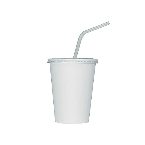 Karat Double Poly Paper Cold Cups, 12 oz, White, 1,000/Carton (CKCP12W)