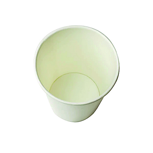 Karat Double Poly Paper Cold Cups, 9 oz, White, 1,000/Carton (CKCP9W)