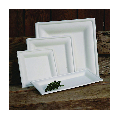 Eco-Products Renewable Square Sugarcane Plates, 10.25 x 10.25, Natural White, 50/Pack, 5 Packs/Carton (EPP023)