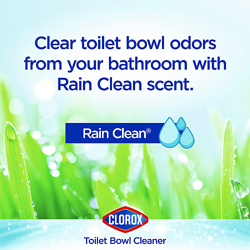 Clorox Disinfecting Toilet Bowl Cleaner with Bleach, Rain Clean Scent, 24 oz Bottle, 2/Pack (30924)