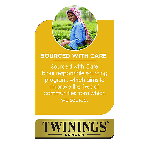 TWININGS Probiotics Lemon and Ginger Herbal Tea Bags, 0.05 oz, 18/Box (TNA95223)