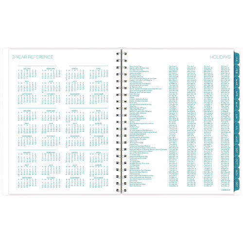 Cambridge Glacier Weekly/Monthly Planner, Glacier Artwork, 11 x 9.25, Blue/Gray/Silver Cover, 12-Month (Jan to Dec): 2025 (1727905)