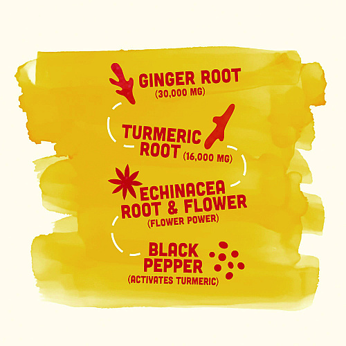 Vive Organic Immunity Boost, Ginger, 2 oz Bottle,12/Carton (34800001)