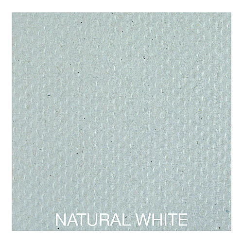 Boardwalk&reg; Green Multifold Paper Towels, 1-Ply, White, 4000 Towels (BWK10GREENB)