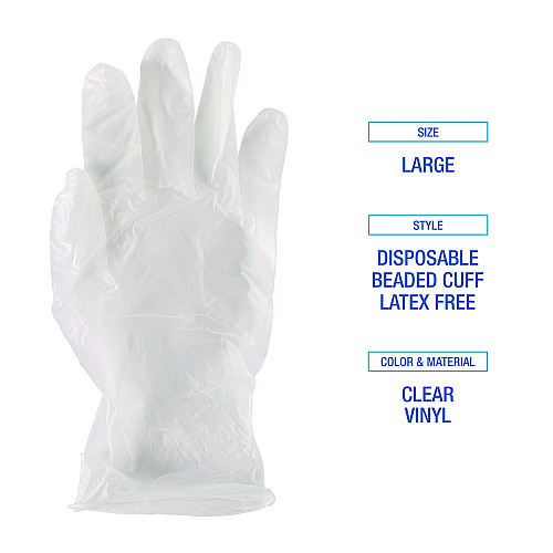 Boardwalk&reg; Disposable Vinyl Gloves, Clear, Large, 4 mil, 100 Gloves (BWK365LBX)
