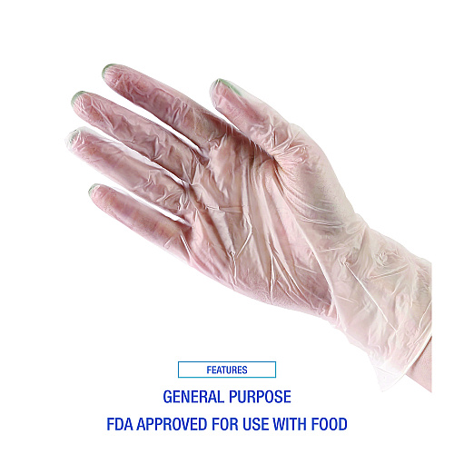 Boardwalk&reg; Disposable Vinyl Gloves, Clear, Large, 4 mil, 100 Gloves (BWK365LBX)