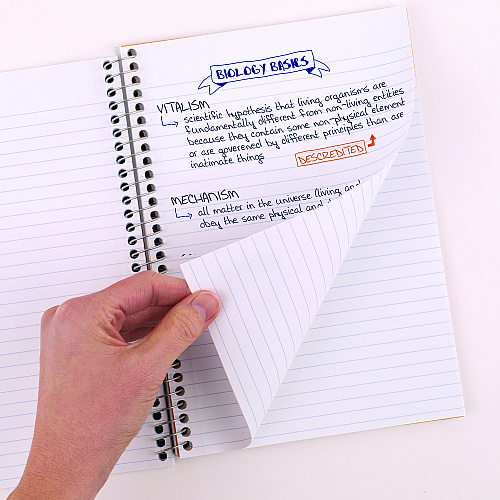 Five Star Wirebound Notebook, 2-Subject, Medium/College Rule, Randomly Assorted Cover Color, (80) 9.6 x 6 Sheets (840029)