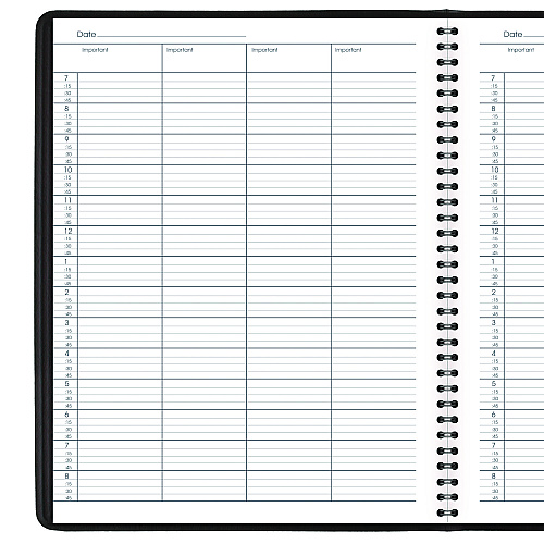 AT-A-GLANCE Four-Person Group Undated Daily Appointment Book, 10.88 x 8.5, Black Cover, 12-Month (Jan to Dec): Undated (8031005)