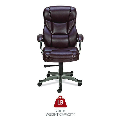 Alera Birns Series High-Back Task Chair, Supports Up to 250 lb, 18.11" to 22.05" Seat Height, Brown Seat/Back, Chrome Base (ALEBN41B59)