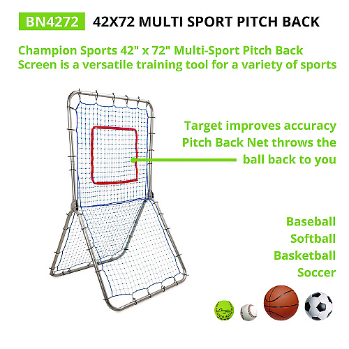 Champion Sports Multi-Sport Pitch Back Screen, 72" x 42", 1.25" dia frame (BN4272)
