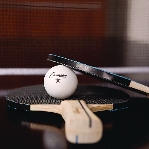 Champion Sports Anywhere Table Tennis Set, with Carry Bag (AWTSET)
