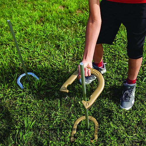 Champion Sports Deluxe Horseshoe Tournament Set, 4 Horseshoes/2 Stakes/Carry Bag/Rule Sheet (CG205)