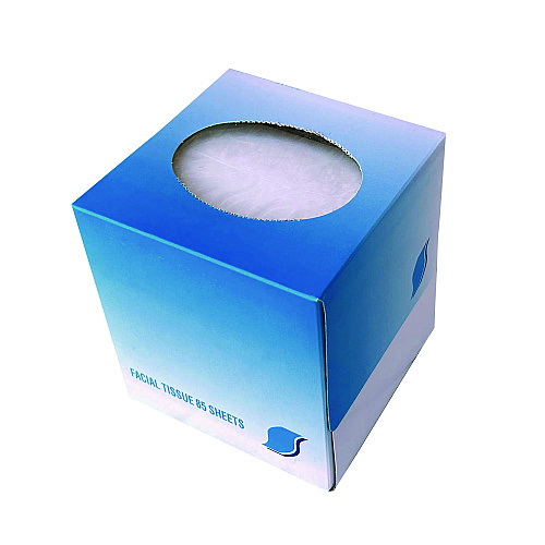 GEN&reg; Facial Tissues, 2-Ply, 85 Tissue Box, 36 Boxes (GEN852E)