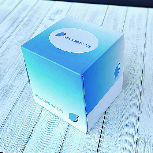 GEN&reg; Facial Tissues, 2-Ply, 85 Tissue Box, 36 Boxes (GEN852E)