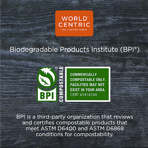 World Centric TPLA Compostable Cutlery, Soup Spoon, White, 1,000/Carton (SOPSB)
