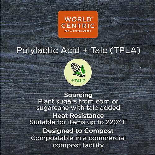 World Centric TPLA Compostable Cutlery, Asian Soup Spoon, White, 500/Carton (SPTPAS)