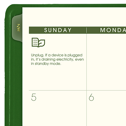 AT-A-GLANCE Recycled Monthly Planner, 11 x 9, Green Cover, 13-Month: Jan 2026 to Jan 2027 (70260G60)