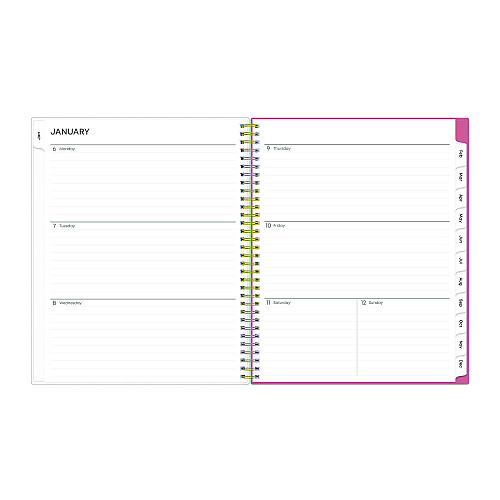 Blue Sky Fly By Frosted Weekly/Monthly Planner, Butterflies Artwork, 11 x 8.5, Blush/Pink Cover, 12-Month (Jan to Dec): 2026 (140195)