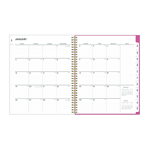 Blue Sky Fly By Frosted Weekly/Monthly Planner, Butterflies Artwork, 11 x 8.5, Blush/Pink Cover, 12-Month (Jan to Dec): 2026 (140195)