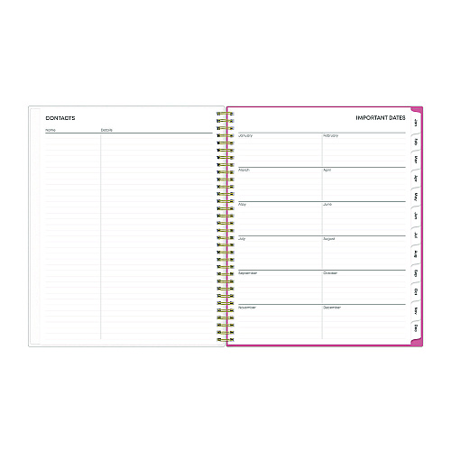 Blue Sky Fly By Frosted Weekly/Monthly Planner, Butterflies Artwork, 11 x 8.5, Blush/Pink Cover, 12-Month (Jan to Dec): 2026 (140195)