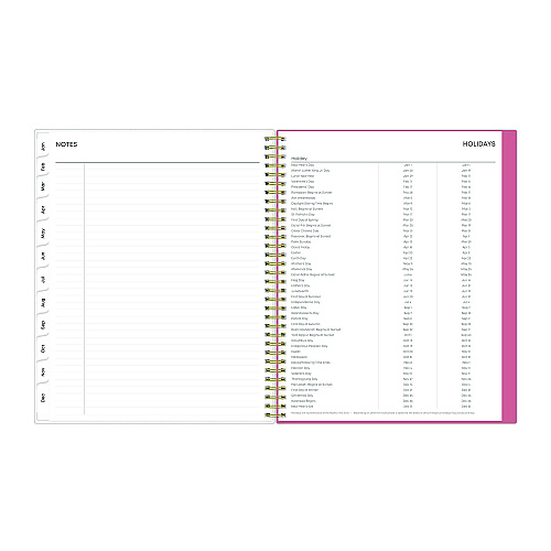 Blue Sky Fly By Frosted Weekly/Monthly Planner, Butterflies Artwork, 11 x 8.5, Blush/Pink Cover, 12-Month (Jan to Dec): 2026 (140195)