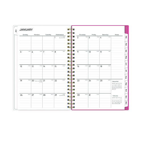 Blue Sky Fly By Frosted Weekly/Monthly Planner, Butterflies Artwork, 8 x 5, Blush/Pink Cover, 12-Month (Jan to Dec): 2026 (140196)