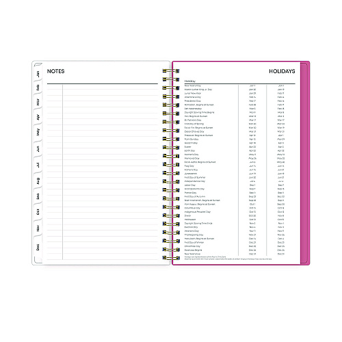 Blue Sky Fly By Frosted Weekly/Monthly Planner, Butterflies Artwork, 8 x 5, Blush/Pink Cover, 12-Month (Jan to Dec): 2026 (140196)