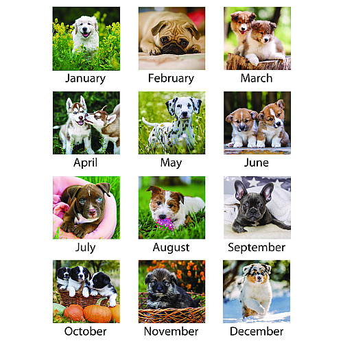 AT-A-GLANCE Puppies Monthly Desk Pad Calendar, Puppies Photography, 22 x 17, White Sheets, Clear Corners, 12-Month (Jan to Dec): 2026 (DMD16632)