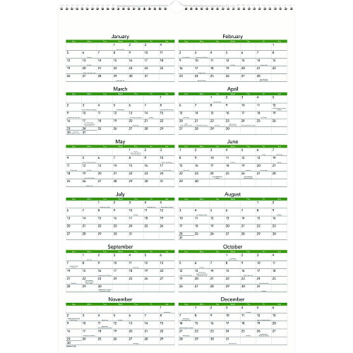 AT-A-GLANCE Puppies Monthly Wall Calendar, Puppies Photography, 15.5 x 22.75, White/Multicolor Sheets, 12-Month (Jan to Dec): 2026 (DMW16728)