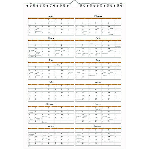 AT-A-GLANCE Scenic Monthly Wall Calendar, Landscape Photography, 12 x 17, White/Multicolor Sheets, 12-Month (Jan to Dec): 2026 (DMW20028)