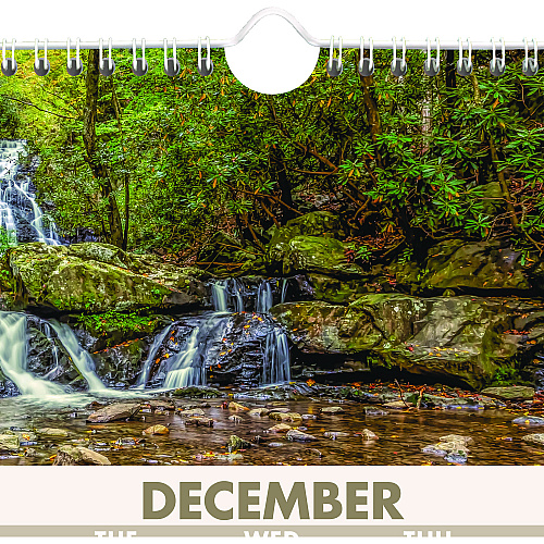 AT-A-GLANCE Scenic Three-Month Wall Calendar, Landscape Photography, 12 x 27, White Sheets, 14-Month: Dec 2025 to Jan 2027 (DMW50328)