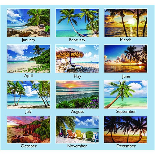 AT-A-GLANCE Tropical Escape Wall Calendar, Tropical Escape Photography, 15 x 12, Pale Blue/Multicolor Sheets, 12-Month (Jan to Dec): 2026 (DMWTE828)