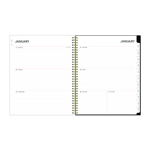 Blue Sky Nevaeh Weekly/Monthly Planner, Floral Artwork, 11 x 8.5, Black/Multicolor Cover, 12-Month (Jan to Dec): 2026 (143945)