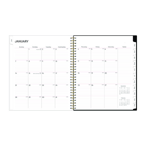 Blue Sky Nevaeh Monthly Planner, Floral Artwork, 10 x 8, Black/Multicolor Cover, 12-Month (Jan to Dec): 2026 (143947)