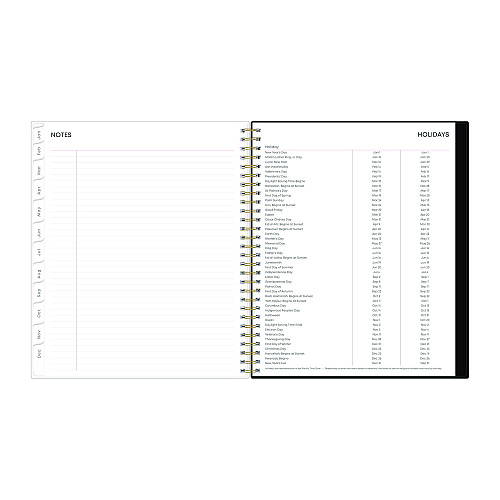 Blue Sky Nevaeh Monthly Planner, Floral Artwork, 10 x 8, Black/Multicolor Cover, 12-Month (Jan to Dec): 2026 (143947)