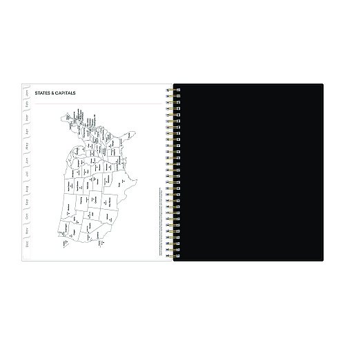Blue Sky Nevaeh Monthly Planner, Floral Artwork, 10 x 8, Black/Multicolor Cover, 12-Month (Jan to Dec): 2026 (143947)