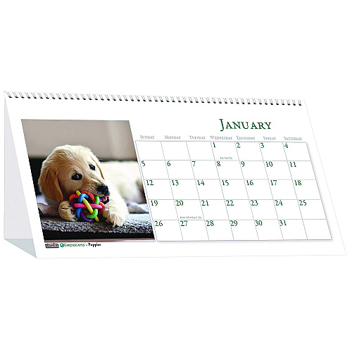 House of Doolittle Earthscapes Recycled Desk Tent Monthly Calendar, Puppies Photography, 8.5 x 4.5, White Sheets, 12-Month (Jan to Dec): 2026 (3659)