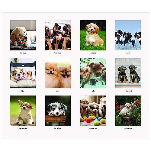 House of Doolittle Earthscapes Recycled Desk Tent Monthly Calendar, Puppies Photography, 8.5 x 4.5, White Sheets, 12-Month (Jan to Dec): 2026 (3659)